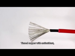 DC Xếp hạng Đen Đỏ Bảng điều khiển năng lượng mặt trời Cáp PV Dây chất lượng cách điện kép 4mm2
